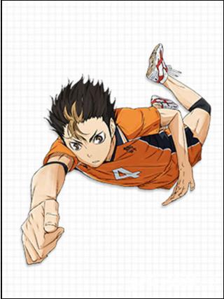 排球少年新的征程中文版