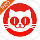 猫眼专业版实时票房app