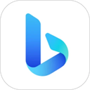 NewBing