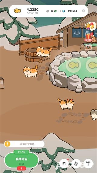 懒懒猫咪村庄