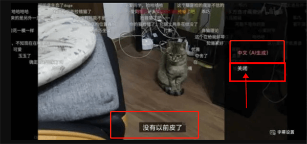 B站手机端