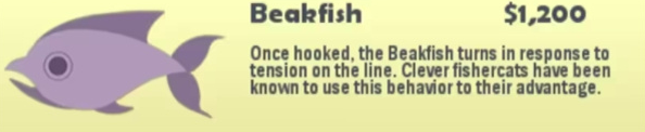 cat fishing