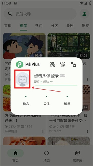 piliplus