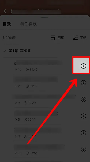 红果剧场