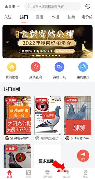 搜鸽天下