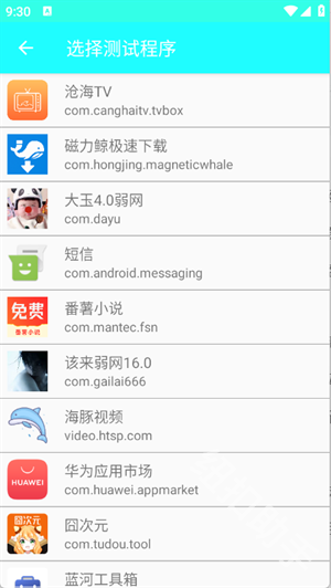 大玉弱网4.0