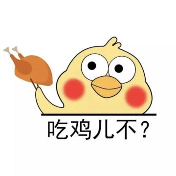 小黄鸡直装 v5.2.1官方版