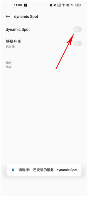 dynamicSpot中文版