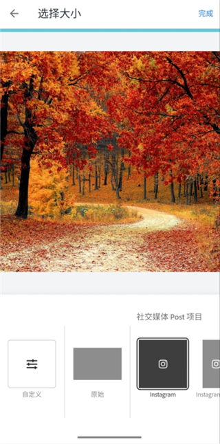 adobe express手机版