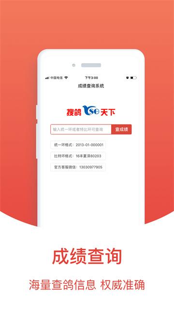 搜鸽天下