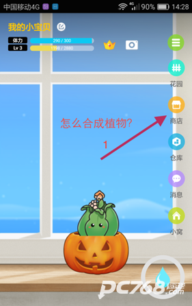口袋植物