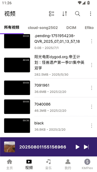 kmplayer中文版