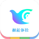一个奇鸽