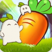 暖心小院子 v1.0.1单机版