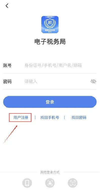 电子税务局