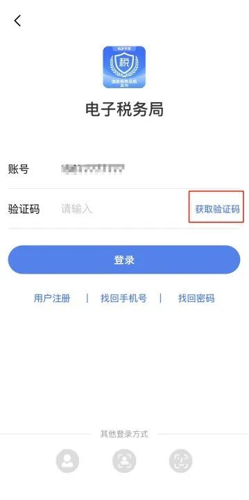 电子税务局