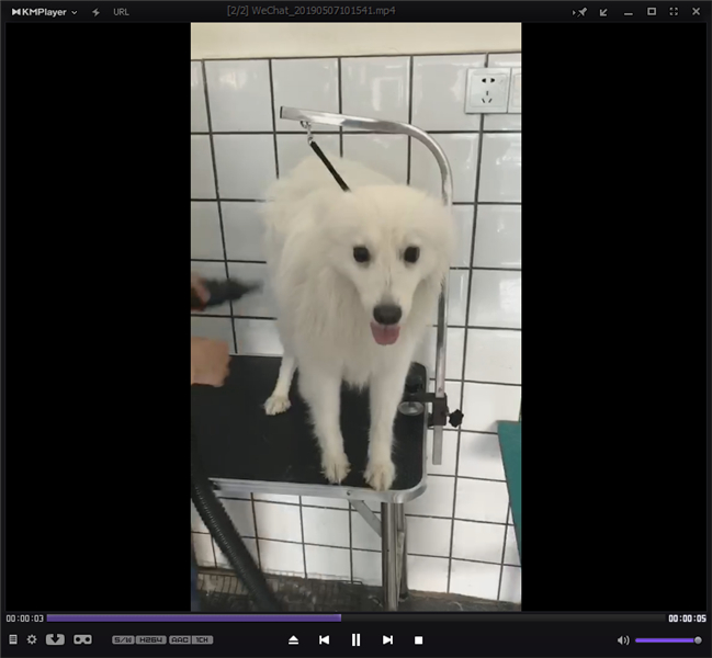 kmplayer中文版