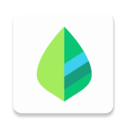 薄荷记账 v11.5.4安卓版