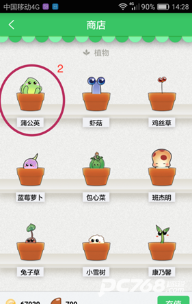 口袋植物