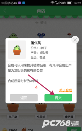口袋植物