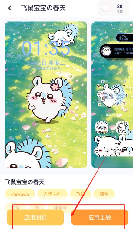 布橘小组件
