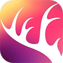 阡鹿旅游 v8.7.0安卓版