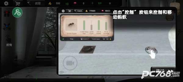 蚂蚁模拟大亨