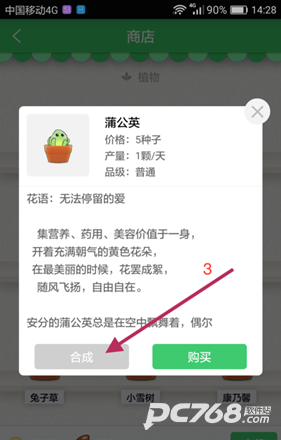 口袋植物