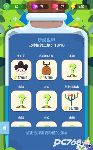 口袋植物