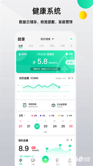 先锋鸟