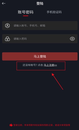 网飞猫