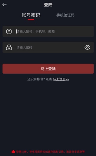 网飞猫