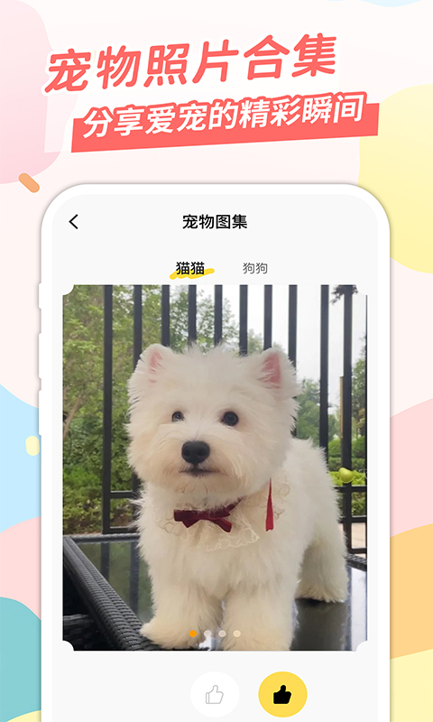 桌面宠